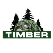 ���� �����������������. ����