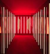 ������. ��� ���ʻ. ������� ����