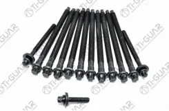 ����� � ����� / Ti-GUAR ��� Peugeot; 10 ���� M10 150��, 2 M8 95,3��, 1 35��; TG-CHB055-SET; 11127560274 81044100 426830 Tiguar Tgchb055SET TGCHB055SET...