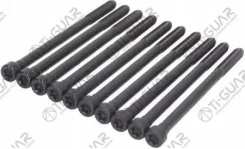 ����� � ����� /TI-GUAR ��� Mitsubishi Smart 2004-2006 2004-2007; ������ M9/ ��� ������ 1,25/ ����� 145��. ; TG-CHB059-SET; 1607599080 81046100 1410276...