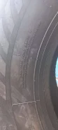 Annaite 716. �����������, 2026 ���, ����� ����