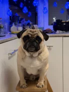 ����. ����