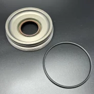 �������� RETAINER/SEAL KIT (862118A2; 8M0205246) (Quicksilver) ����