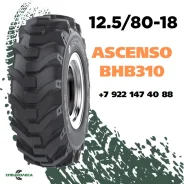 Ascenso BHB 310