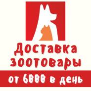 ��������-������. �� �������� �. �. ����� ����������� 1 ����