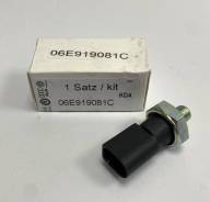 ������ �������� ����� VAG Touareg Q7 3.0TFSI 06E919081C 06E919081C ����