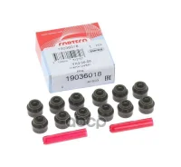 ����. ����. �������� [�-�� 12 ��] AUDI, BMW, Mercedes, OPEL, VW Corteco ���. 19036018 19036018 ����