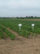 �����������. ���������� ������� ������� �������. ����� ��������� (�. ���������) 57 ���. 2 ����