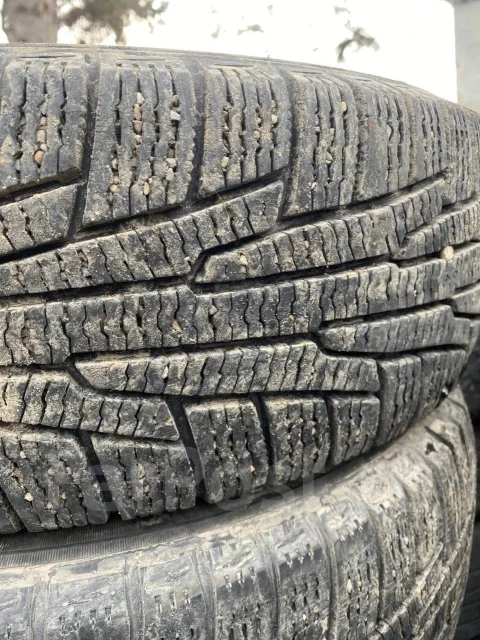 Nordman RS2. ������, ��� �����, �/�, ����� 25 % ����