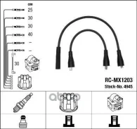 ������� �������������� RCMX1203 GAZ Volga 8v; 1105023; 4023707245; HL413; HL414 NGK ���. 4945 4945 ����