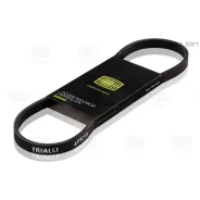 ������ ������������ Trialli 4PK920 4PK920 ����