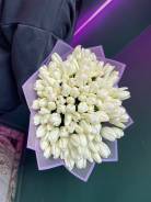 ��������. ����