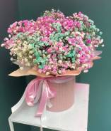 ��������� �������������. ����