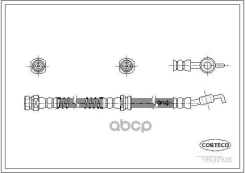 ����� ��������� Corteco ���. 19032926 19032926 ����