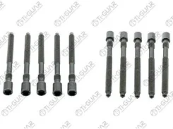 ����� � ����� /TI-GUAR ��� Audi Seat Skoda Volkswagen 1996- AGN AGU Ajhajq APP APX APG; ���. 10/ ������ M10/ ��� ������ 1.5/ ����� 115��. ; TG-CHB018...