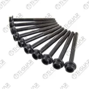 ����� � ����� /��� Ti-GUAR Volkswagen Golf IV Lupo Polo Seat Leon Toledo II 1.6; ���. 10/ ������ M9/ ��� ������ 1.25/ ������ 100��. ; TG-CHB097-SET; 0...