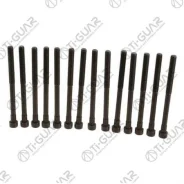 ����� � ����� /TI-GUAR ��� Daewoo Mercedes-Benz PUCH Roewe SsangYong; ���. 14/ ������ M12/ ��� ������ 1,75/ ������ 160��. ; TG-CHB114-SET; 1049900012...