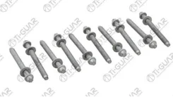 ����� � ����� /TI-GUAR ��� Citro n Fiat Peugeot Tata Toyota; 10/ ������ M12/ ��� ������ 1.5/ ����� 120mm; TG-CHB118-SET; 020497 152550 143211601 Tigua...