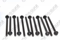 ����� � ����� /TI-GUAR ��� Opel 1.2/1.4Xexepxel; ���. 12/ ������ M8/ ��� ������ 1,25/ ������ 129��. ; TG-CHB119-SET; 24454151 81041200 016095B Tiguar...