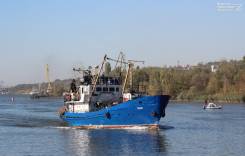 ������ �������. ��� ����. ������� ����