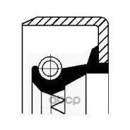 ������� ������� ������ 50x65x8�� FPM WD 50x65x8 B1Vidrw Corteco ���. 20019176B 20019176B ����
