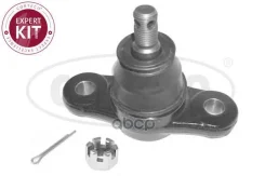 ������� ����� L/R [+������] Corteco ���. 49398917 49398917 ����