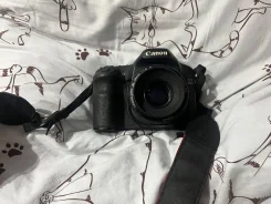 Canon EOS 50D. 15 - 19.9 �� ����