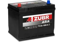 Zubr