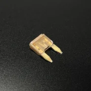 �������������� FUSE-TAN-5 AMP (Quicksilver) ����