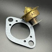 ��������� THERMOSTAT KIT (Quicksilver) ����