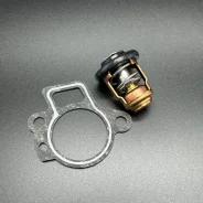 ��������� THERMOSTAT KIT (Quicksilver) ����