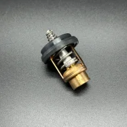 ��������� THERMOSTAT (Quicksilver) ����
