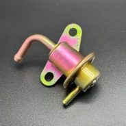 ��������� �������� REGULATOR-PRESSUE (Quicksilver) ����