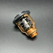 ��������� THERMOSTAT (Quicksilver) ����