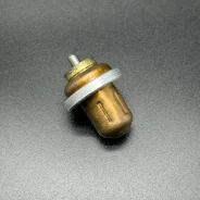 ��������� THERMOSTAT (Quicksilver) ����