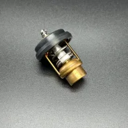 ��������� THERMOSTAT (Quicksilver) ����