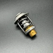 ��������� THERMOSTAT (Quicksilver) ����