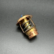 ��������� THERMOSTAT-143 (Quicksilver) ����