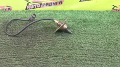 ������ ����������� 8946512710 8946512710 ����