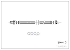 ��������� ����� Corteco ���. 19025910 19025910 ����