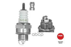 ����� ��������� BPM6Y NGK ���. 4562 4562 ����