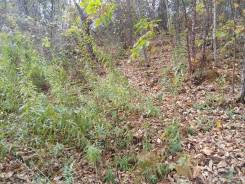 ������ ��������� ������� 789 ��. ����� � �. ���������� �� 388000������. 789���.��., ����� ��� ����������� � ��������������, �������������, �����������...