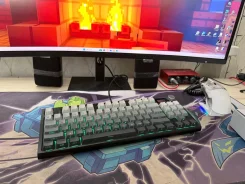 ����������. ����
