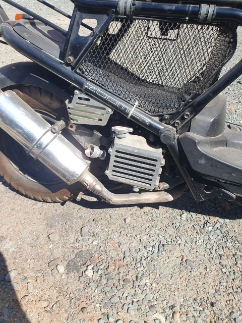 Honda Zoomer. 49����. ��., ��������, ��� ���, ��� ������� ����