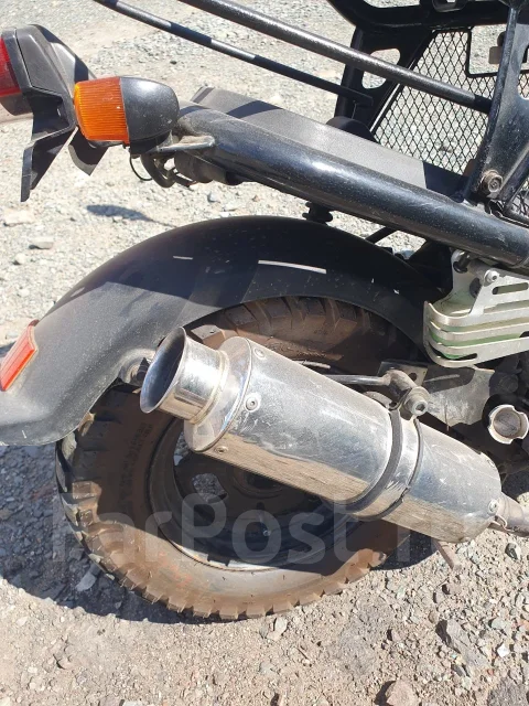 Honda Zoomer. 49����. ��., ��������, ��� ���, ��� ������� ����