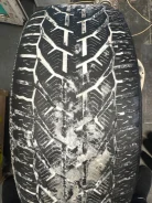 Tigar Winter. ������, ��� �����, 2019 ���, �/�, ����� 20 % ����