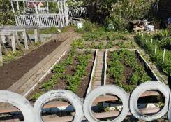 ���� � ����� �. ����������. ������� 192. ����� ��� �������� 192, �-� ��������������, ������� ���� 18���.��., ������� ������� 830���.��., ������������...