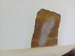 ������ ������� �����. ����
