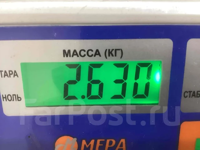 ���������� Iveco 500392864 500392864 ����
