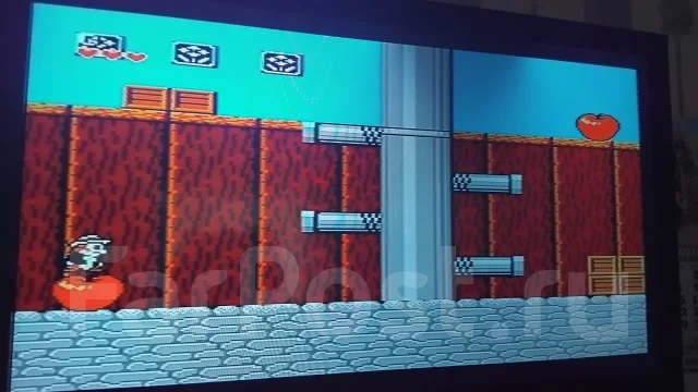 Dendy ����